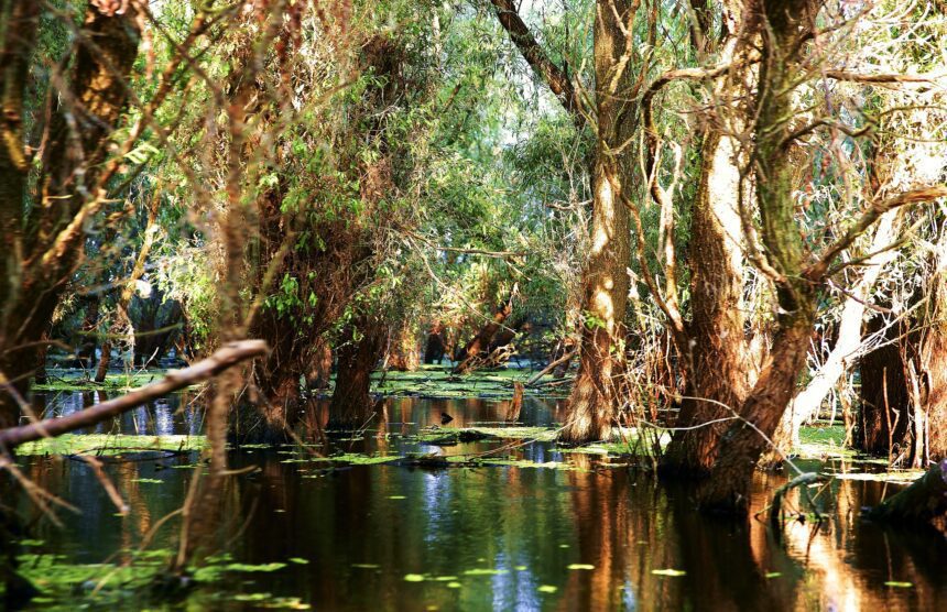 Delta Dunării: atracție turistică unică în Europa, paradis natural UNESCO