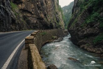 Cheile Bicazului – spectacolul stâncilor uriașe