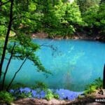 🎥 Lacul Albastru – bijuteria ascunsă din Maramureș 🌊✨