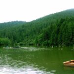 🌲 Lacul Roșu – legenda muntelui scufundat din Harghita 🌊